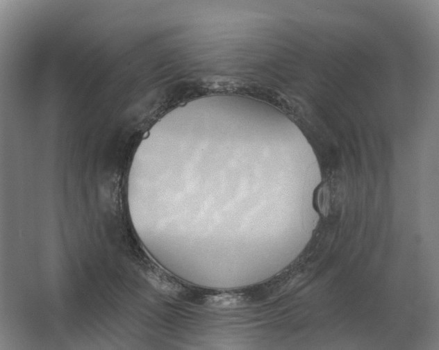 X0000062890511200601271651