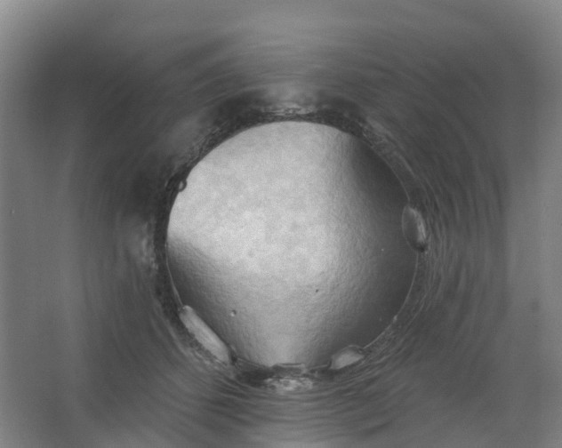 X0000062890512200601271651