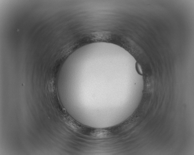 X0000062890514200601271651