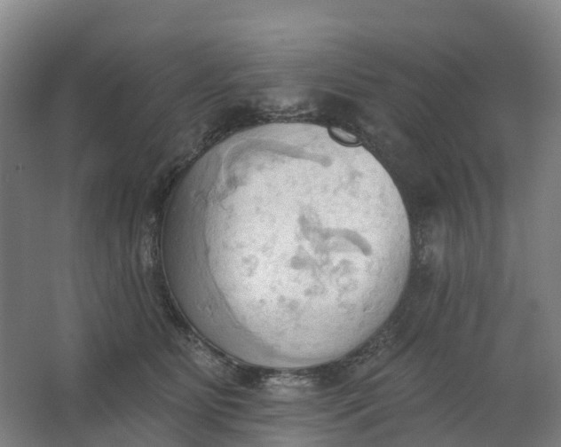 X0000062890515200601271651