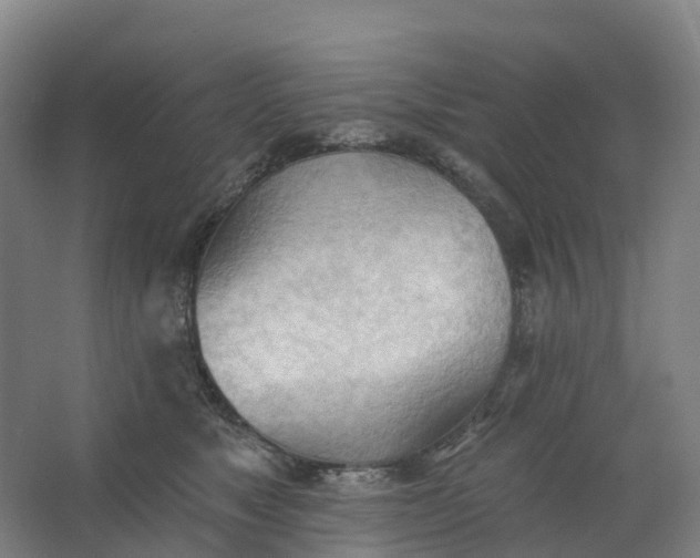 X0000062890517200601271651