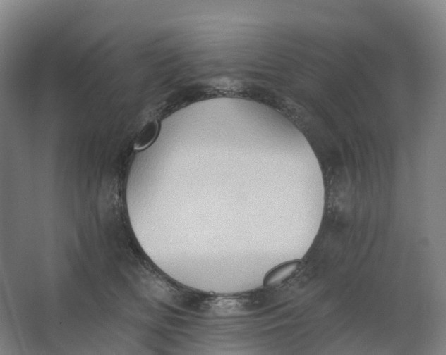 X0000062890518200601271651