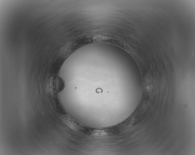 X0000062890519200601271651