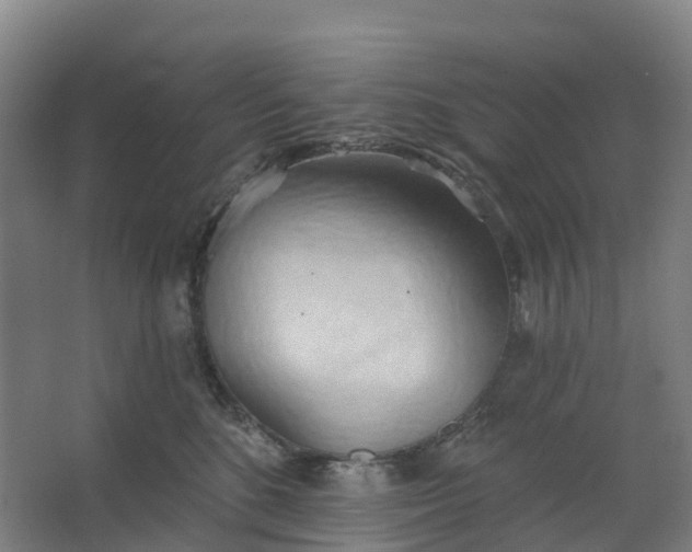 X0000062890520200601271651