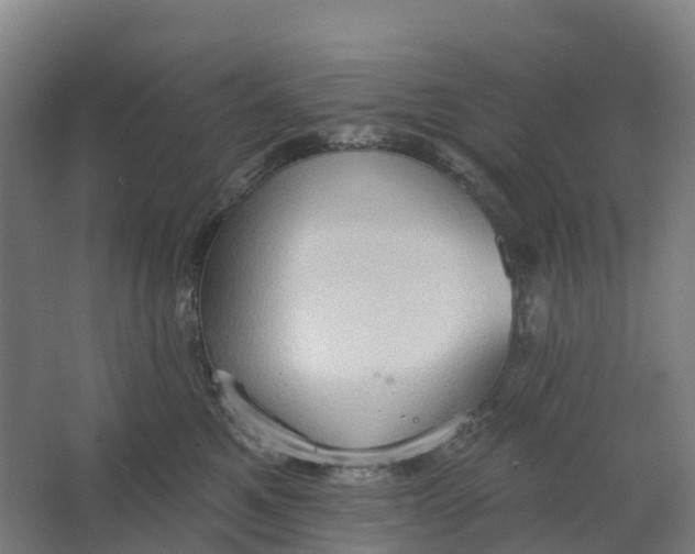 X0000062890521200601271651