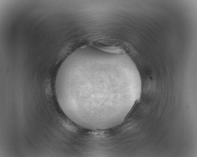 X0000062890524200601271651