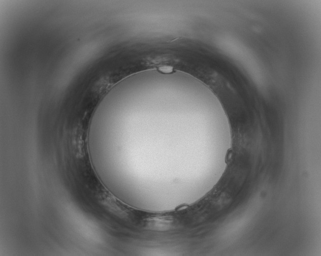 X0000062890525200601271651