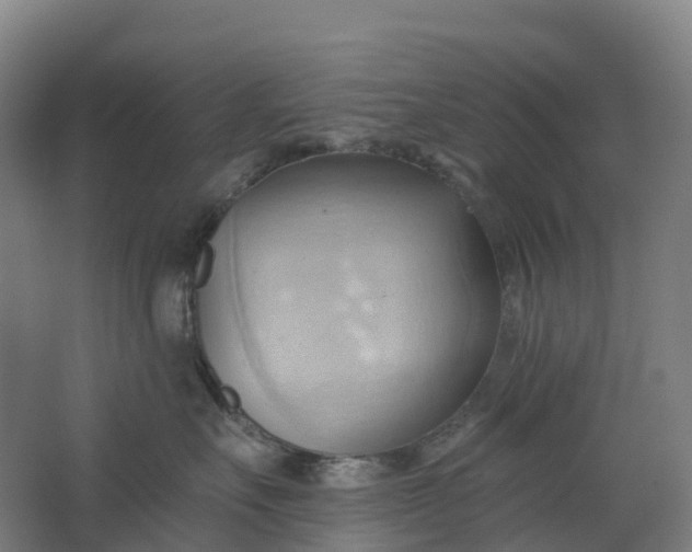 X0000062890527200601271651