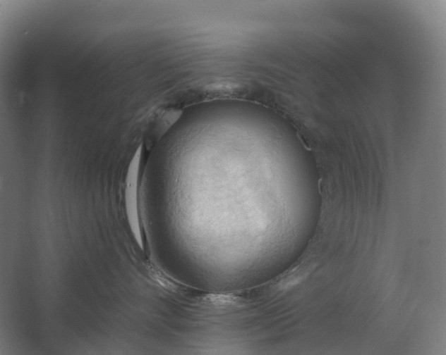 X0000062890528200601271651