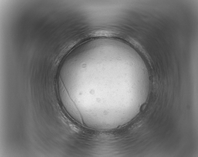 X0000062890529200601271650