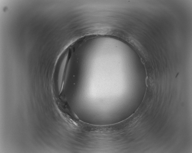 X0000062890532200601271650