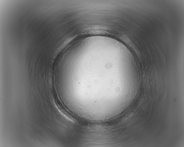 X0000062890533200601271650