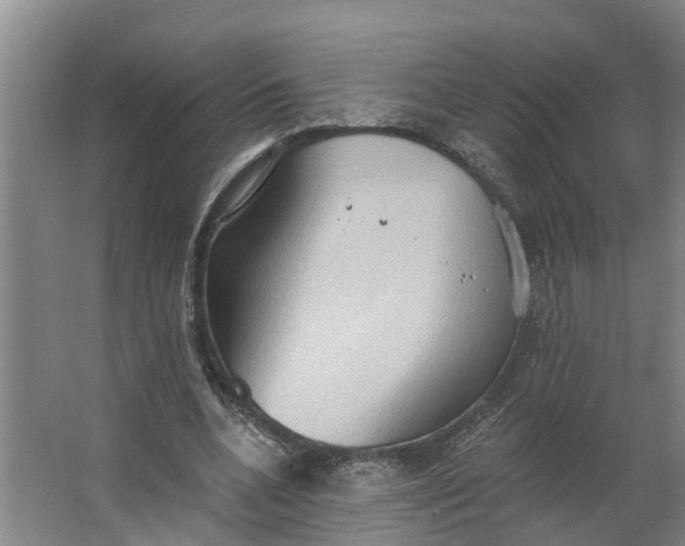 X0000062890536200601271650