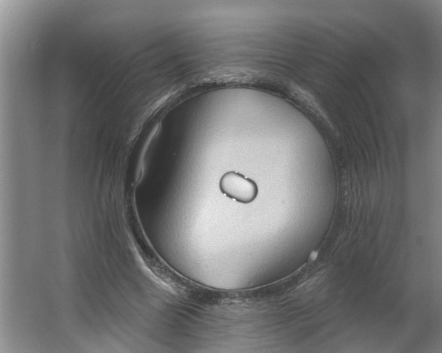 X0000062890538200601271650