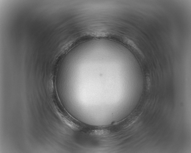 X0000062890541200601271650