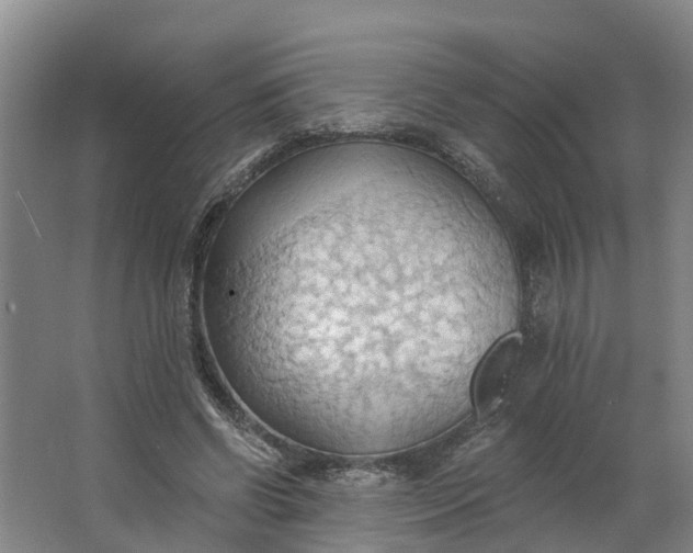 X0000062890542200601271650