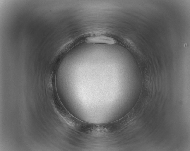 X0000062890543200601271650