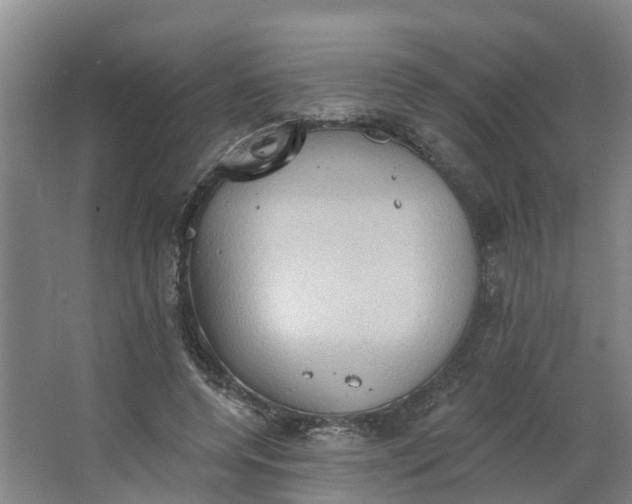 X0000062890544200601271650