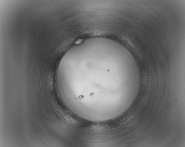 X0000062890545200601271650