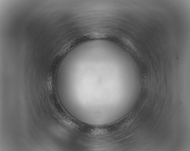 X0000062890549200601271650