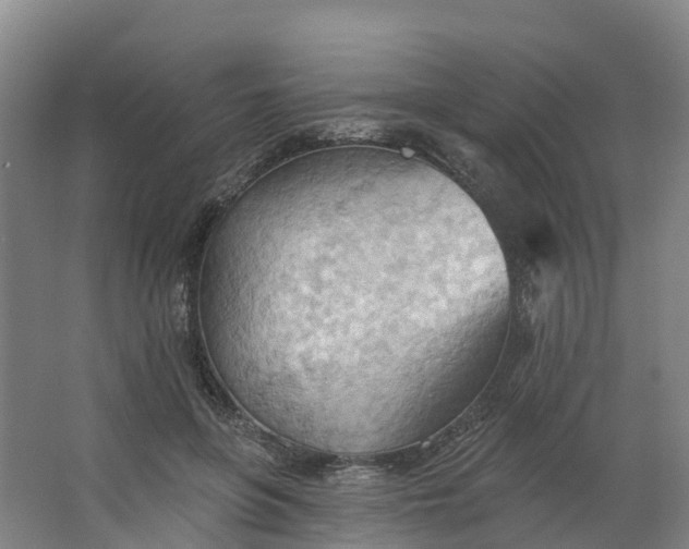 X0000062890551200601271650