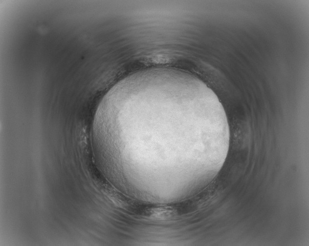 X0000062890555200601271650