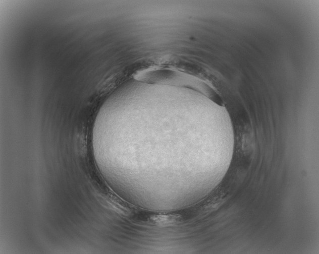 X0000062890558200601271650