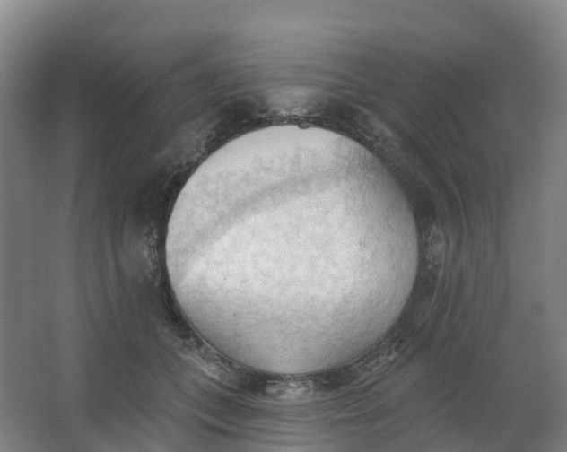 X0000062890559200601271650