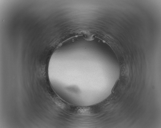 X0000062890560200601271650