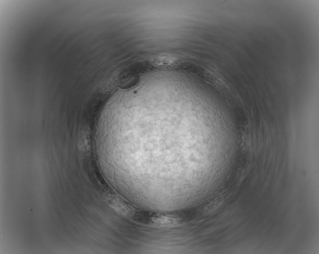 X0000062890561200601271650