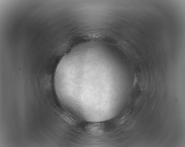 X0000062890563200601271650