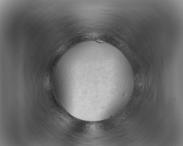 X0000062890564200601271650