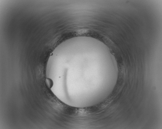 X0000062890565200601271650