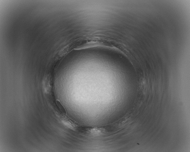 X0000062890566200601271650