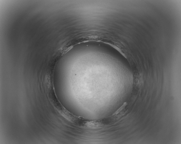 X0000062890568200601271651