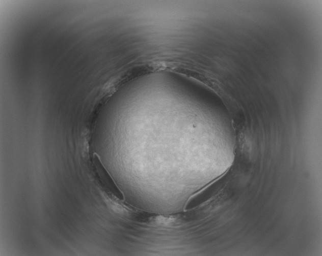 X0000062890570200601271651