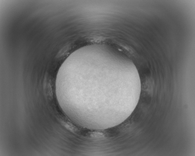 X0000062890572200601271651