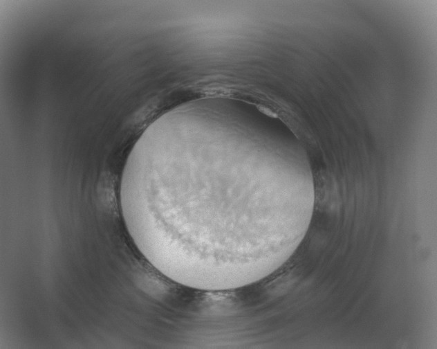 X0000062890573200601271651