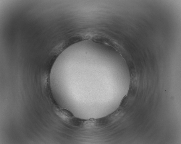 X0000062890574200601271651