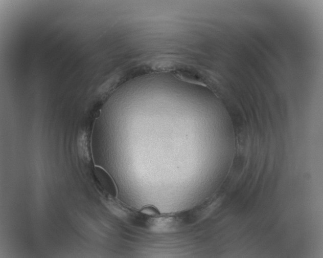 X0000062890575200601271651