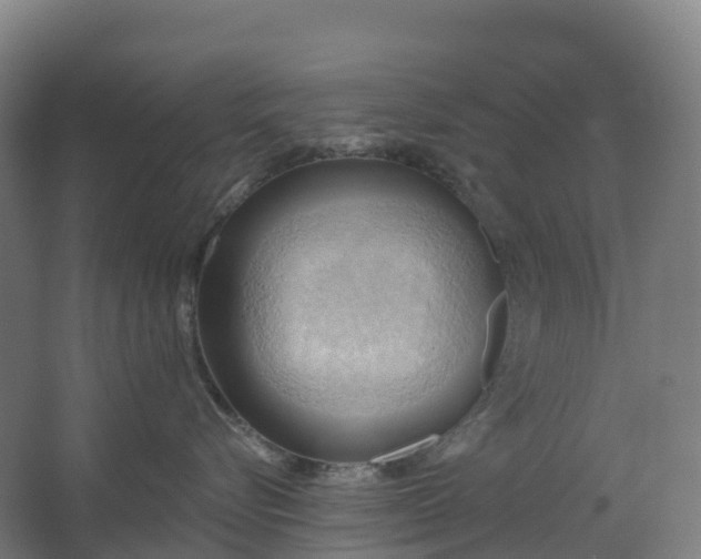 X0000062890576200601271651