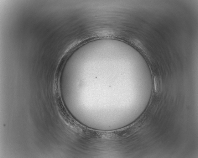 X0000062890579200601271650