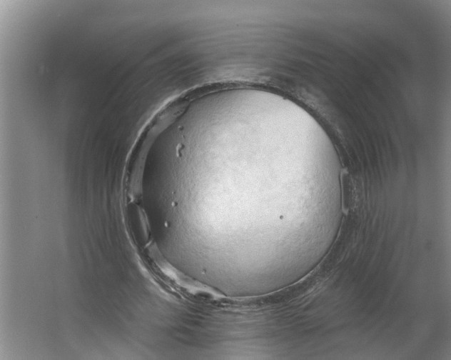 X0000062890580200601271650