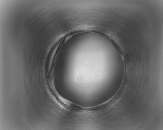 X0000062890581200601271650