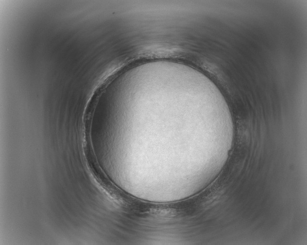 X0000062890582200601271650