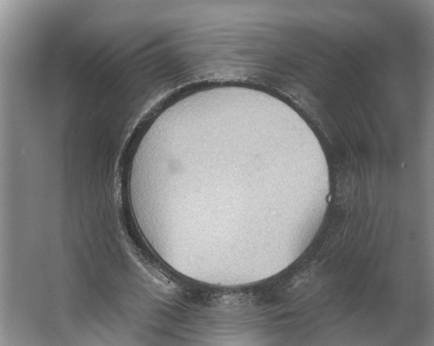 X0000062890584200601271650