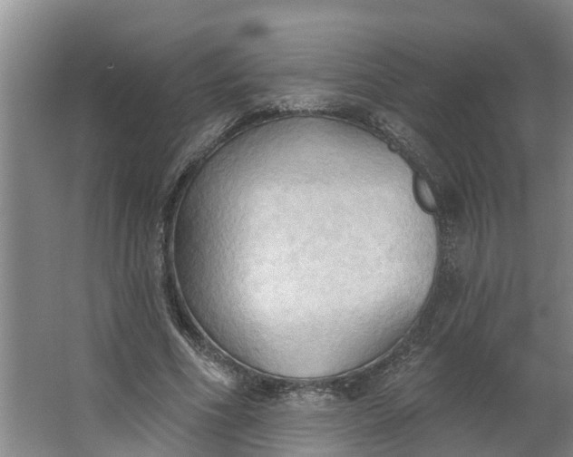 X0000062890586200601271650