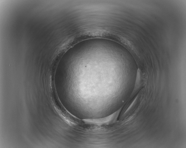 X0000062890589200601271650