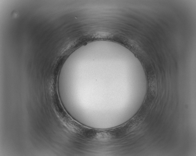 X0000062890591200601271650