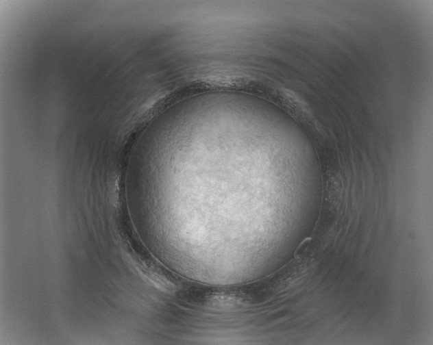 X0000062890596200601271650